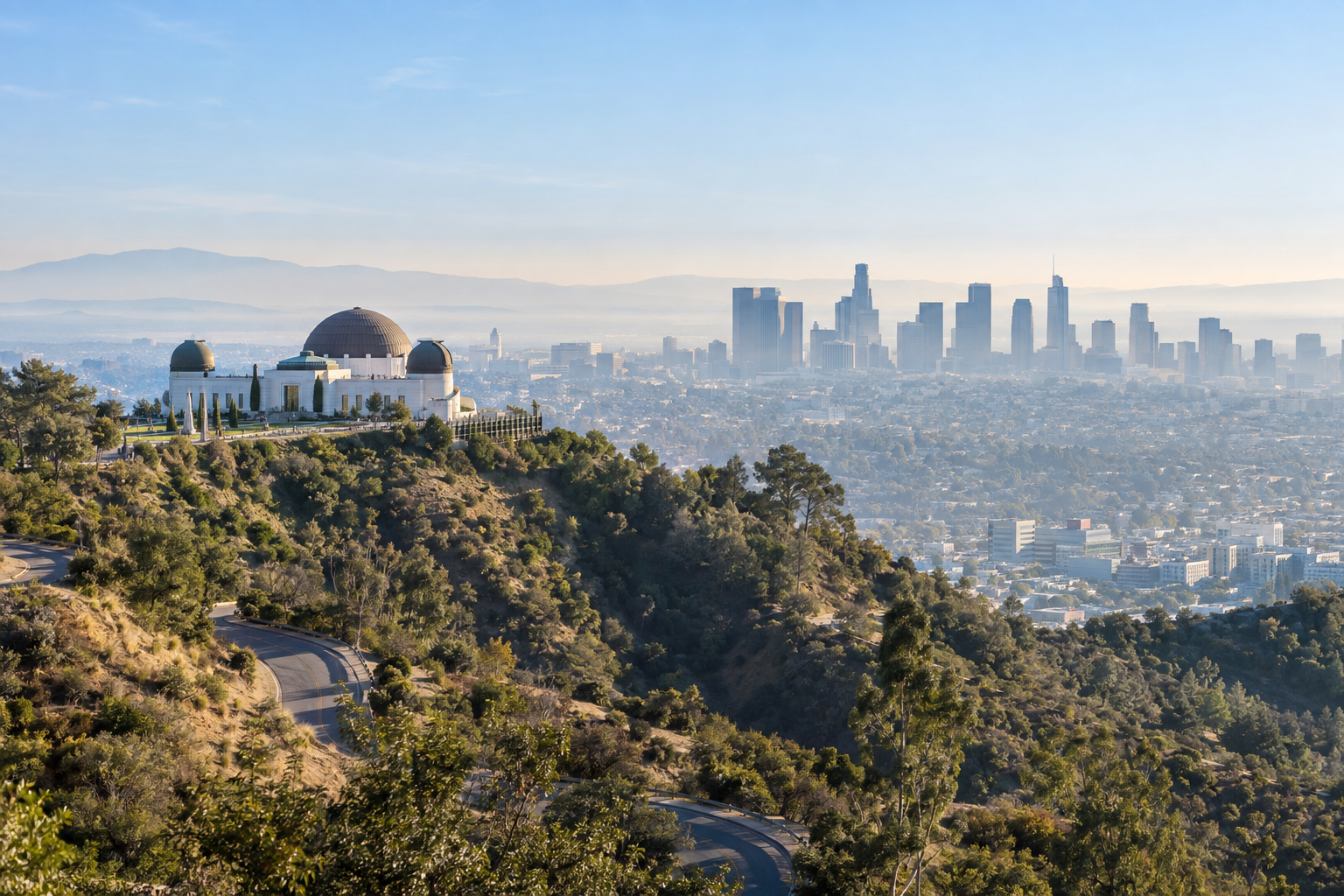 Los Angeles skyline and palm trees at sunset